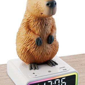 Rainy Days Capibara