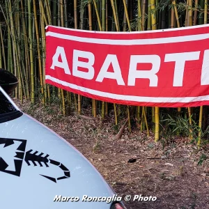 Stendardo striscione Abarth